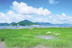 水产制品包装袋所使用的复合膜为什么易发生分层？